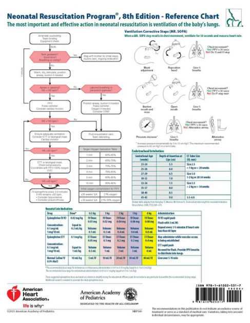 Nrp Flow Diagram Th Edition Nrp Wall Chart Th Edition